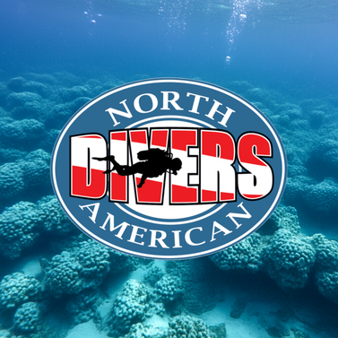 PADI Open Water Diver Certification