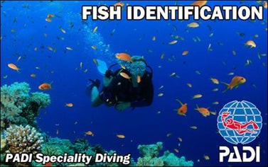 PADI Project AWARE Fish Identification Course - North American Divers